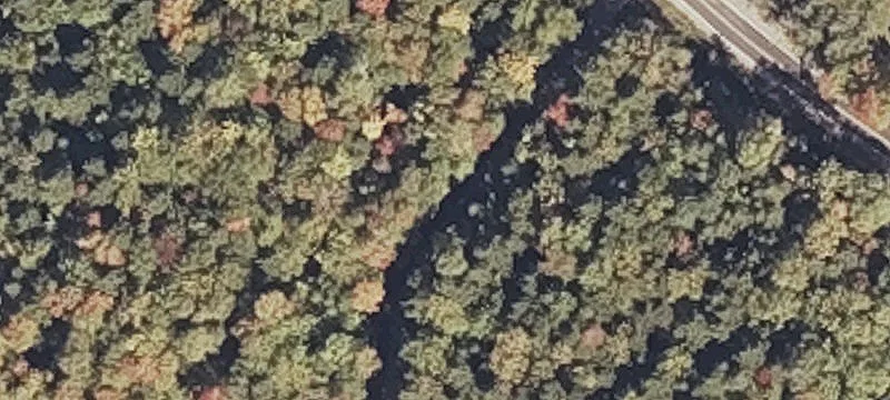 Cleared Recreation Land with Driveway