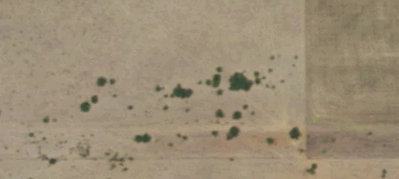 Fenced Coastal Pasture Ranch Land