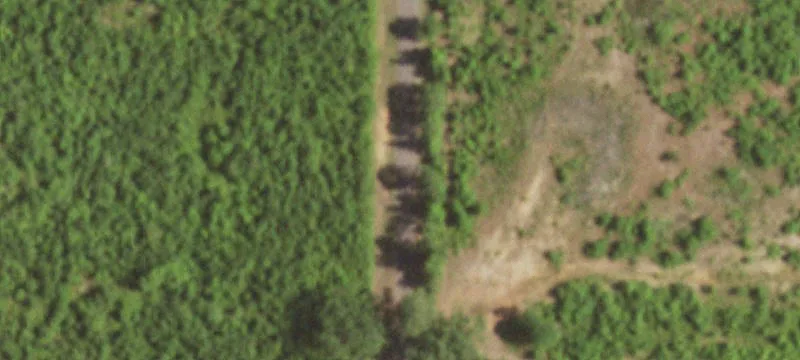 Wooded Land Tract for Development