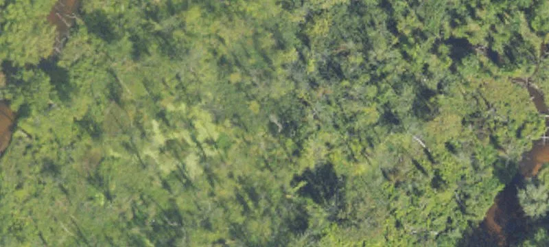 Waterfront Recreational Land with Cabin