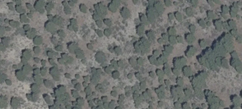 Residential Development Lot