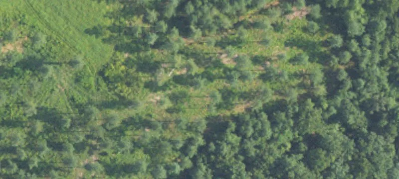 Residential Lot in Subdivision