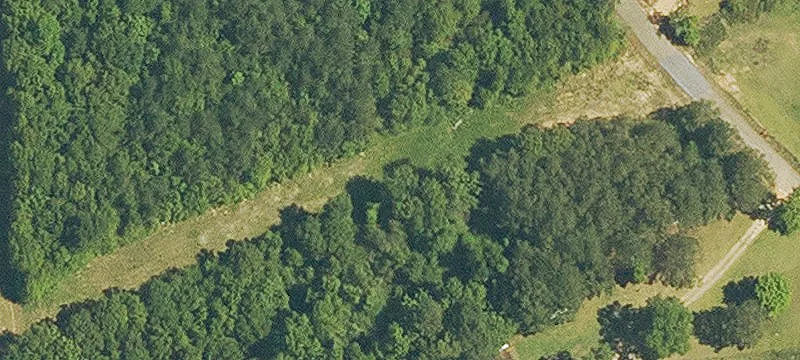 Vacant Land Tract with Road Frontage