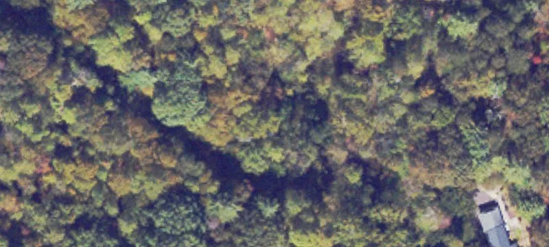 Wooded Acreage Tract