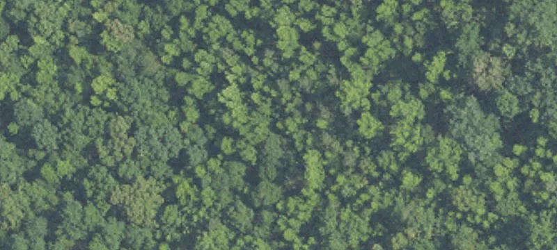 13-Acre Residential Development Tract