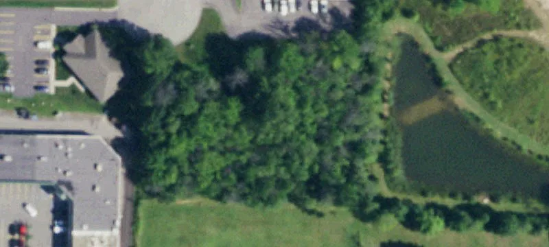 Commercial Land in Business Park
