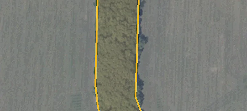 Wooded Parcel with Build Site