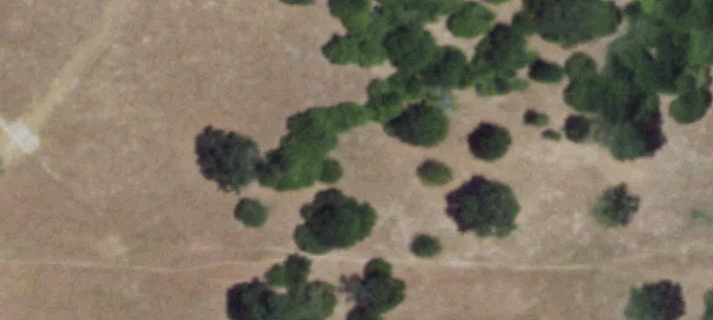 Recreational Hunting Land Tract