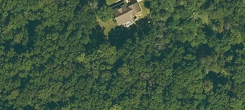 Wooded Walkout Home Lot