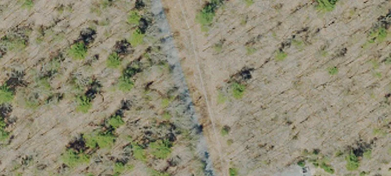 Wooded Residential Development Land