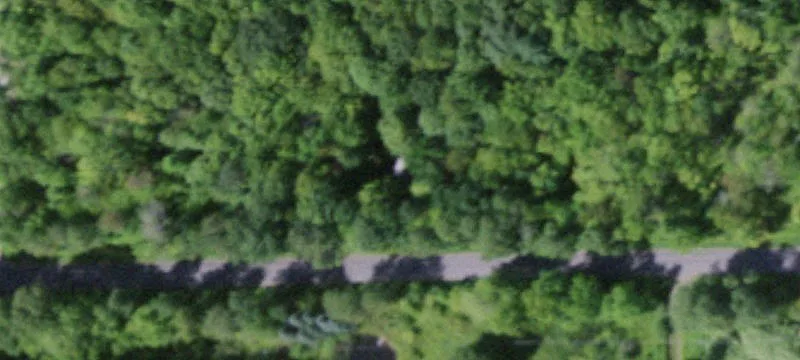 Wooded Hunting and Recreation Land