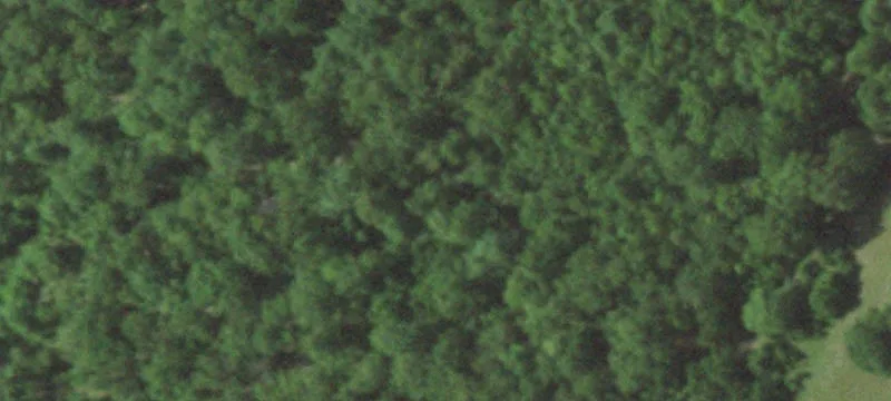 Waterfront Land Parcel