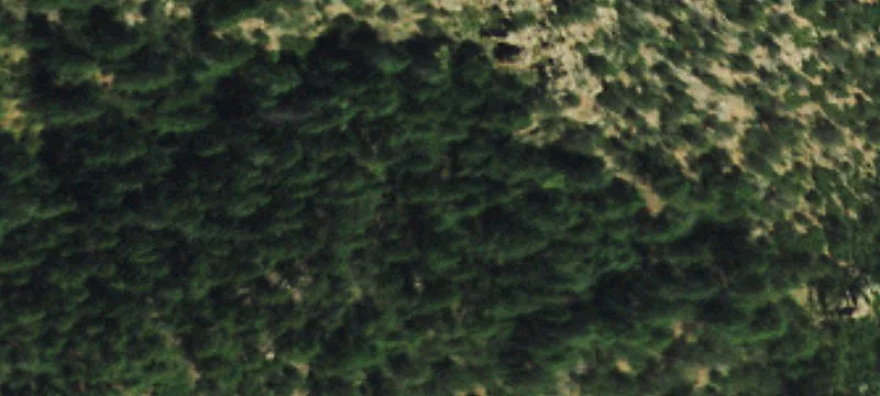 Custom Home Building Lot