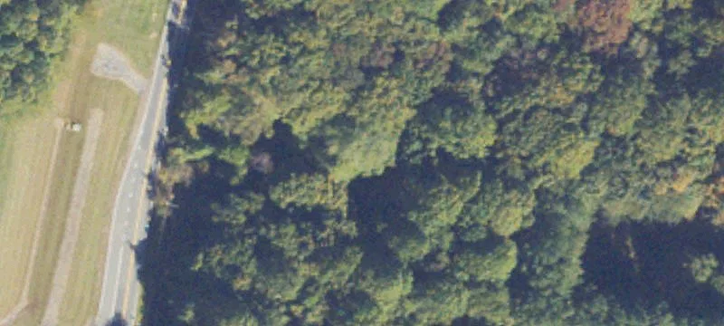 Wooded Homesite with Septic Approval