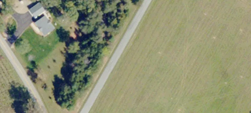 Wooded Agricultural Land Parcel