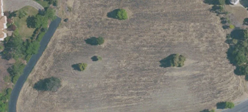 Virtually Flat Vacant Land