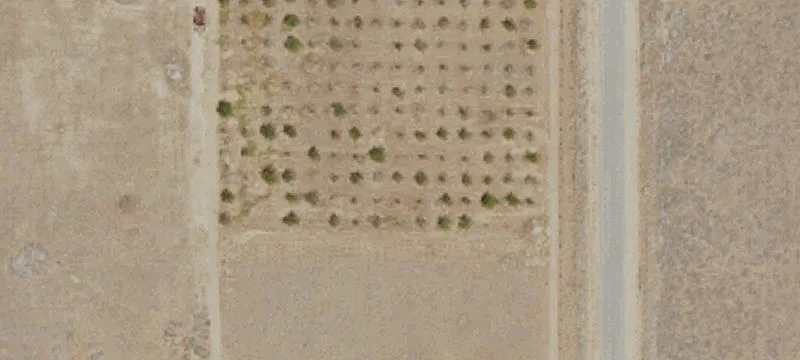 Rural Agriculture Land Parcels