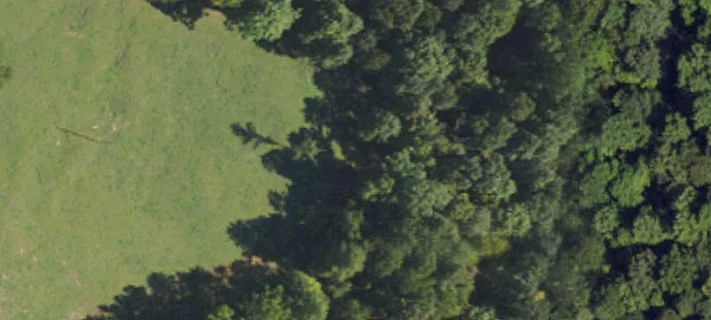 Rough River Area Horse Farm