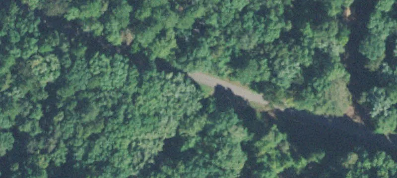 Wooded Cabin-Ready Land Lot