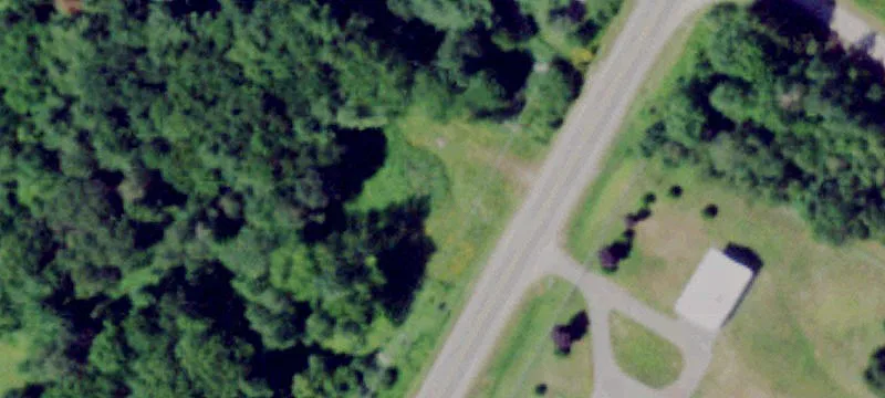 Wooded Buildable Home Lot