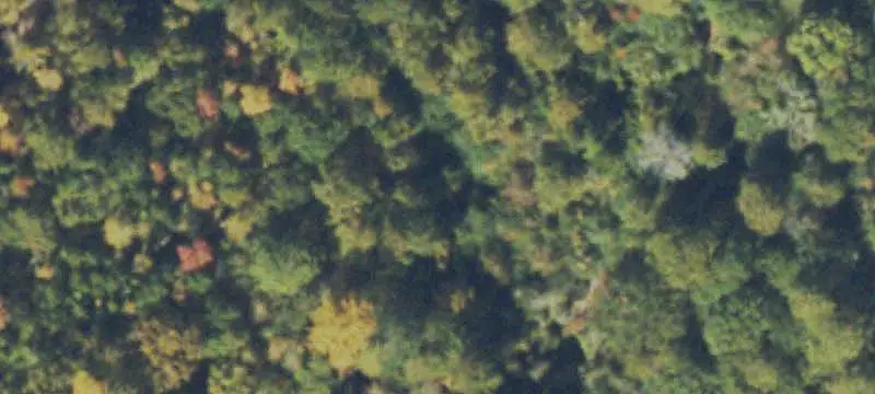 Recreational Land with Road Frontage