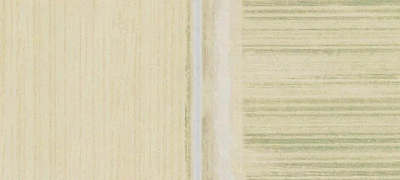 Irrigated Agricultural Land