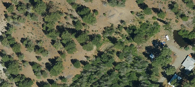 Ranch with Irrigated Meadows