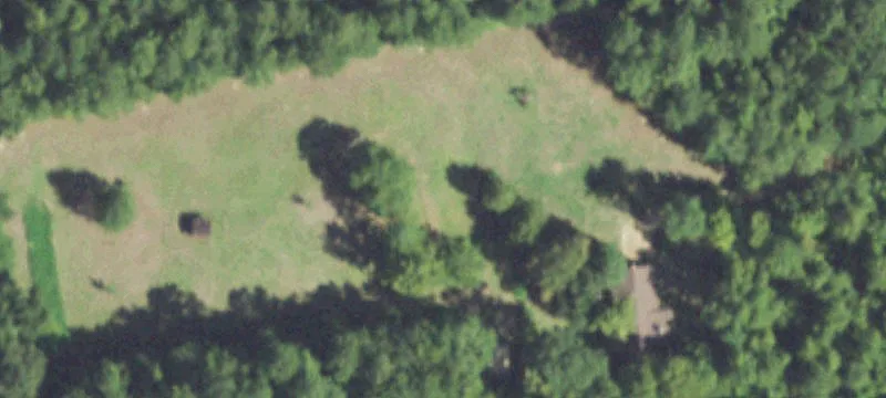 Timbered Hunting and Recreation Tract