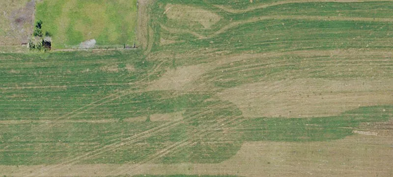 Fenced Ranch Acreage on Paved Roads