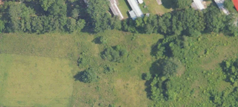 Montgomery Acreage with Road Access