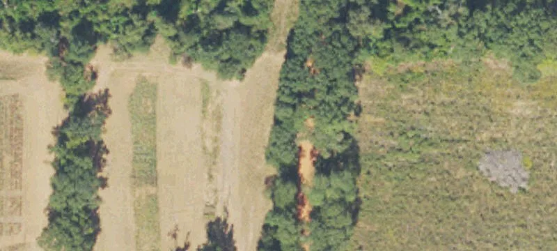 Unrestricted Wooded Home Sites