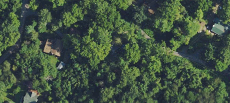 Partially Wooded Recreation Lot