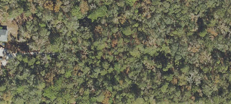 Zoned Commercial Development Land