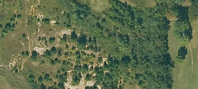 Timber Land Home Site