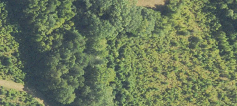 Hunting Land with Creek