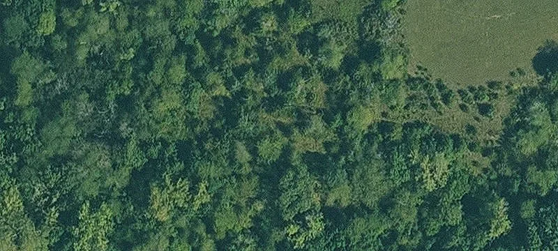 Wooded Recreational Land