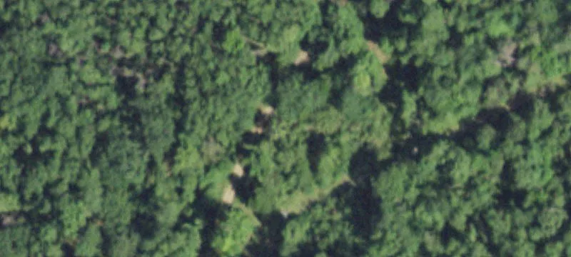 Unrestricted Timber Hunting Tract