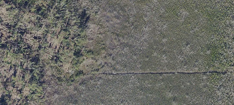 Specialty Land Parcel