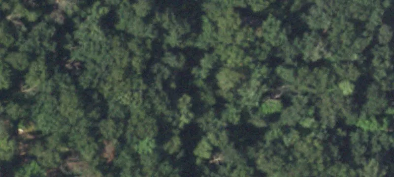 Wooded Recreation Land Parcel