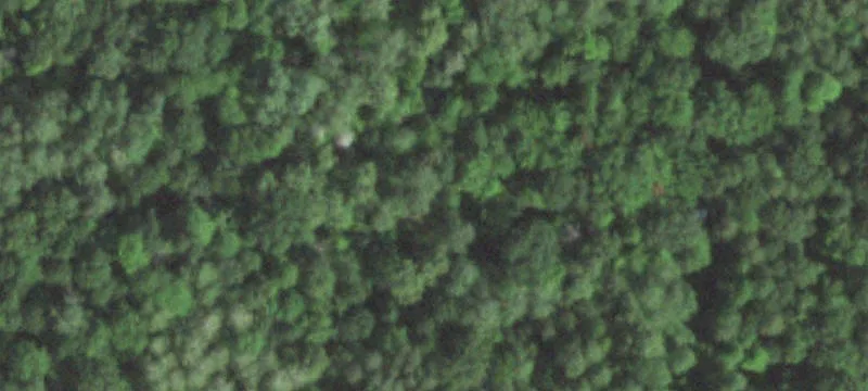 Wooded Recreational Land Parcel