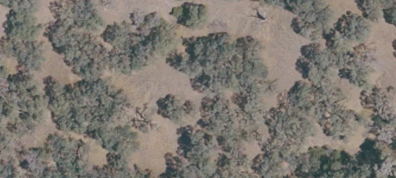Waterfront Ranch Estate Land