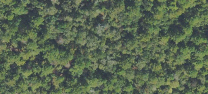 Acreage with Wetlands