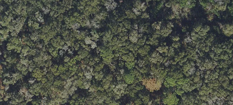 Residential Land Lot