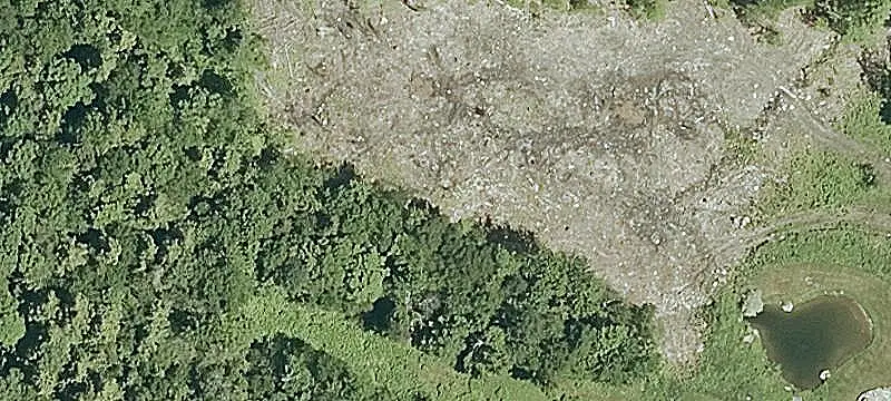 Wooded Waterfront Home Site