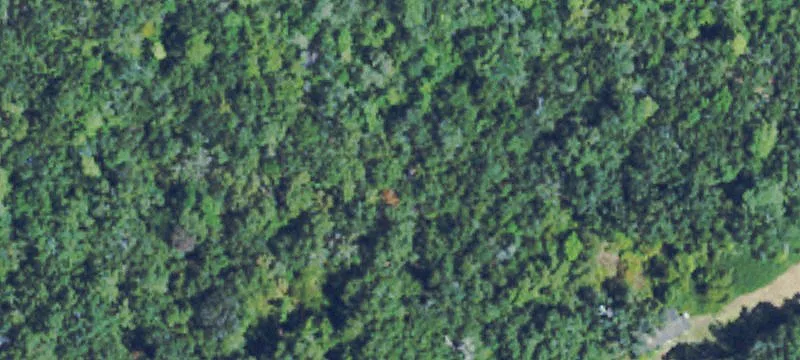 Two-Parcell Rural Land Opportunity