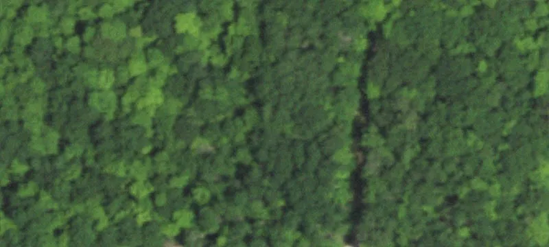 Corner Wooded Home Lot