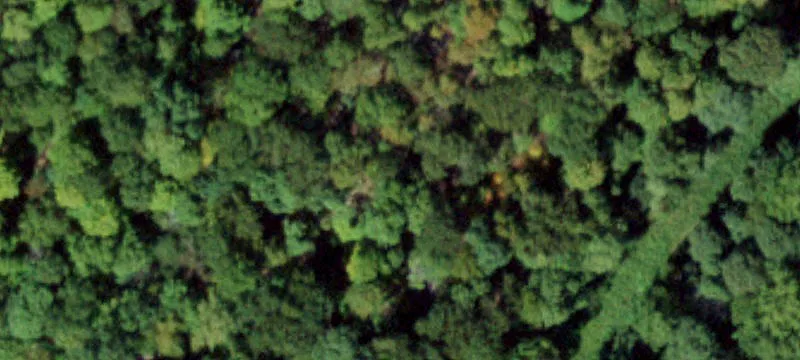 Approved Single-Family Home Lot