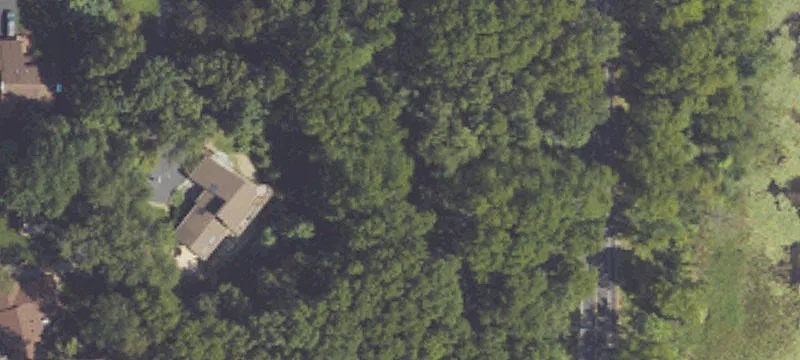 Wooded Waterfront Home Lot