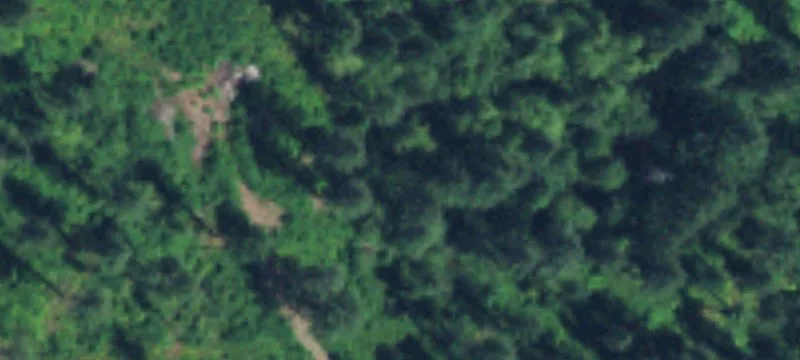 Acreage with Cleared Homesite