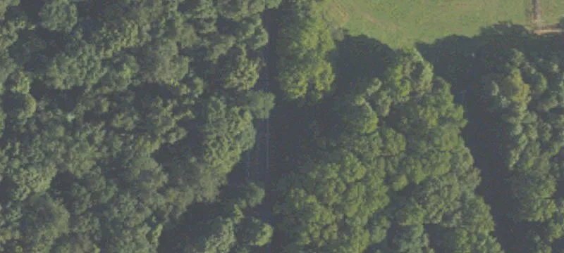 Recreational Timberland Tract
